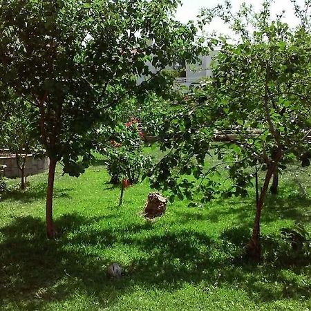 Sunny Garden Studio Афіни Екстер'єр фото