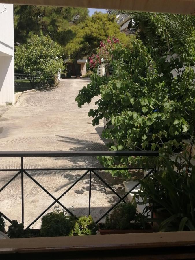 Sunny Garden Studio Афіни Екстер'єр фото